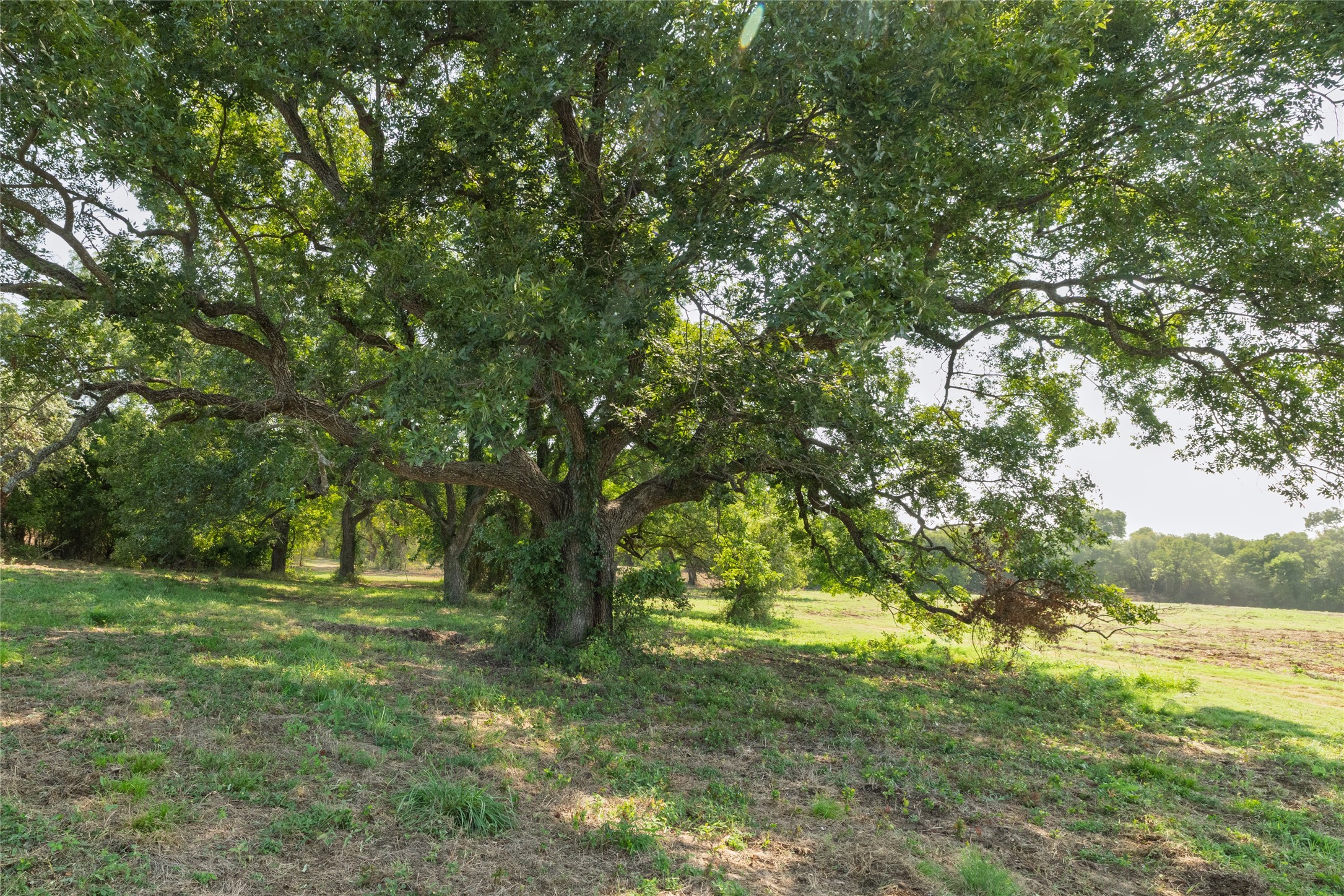 Tbd Overton Court Granbury TX 76048