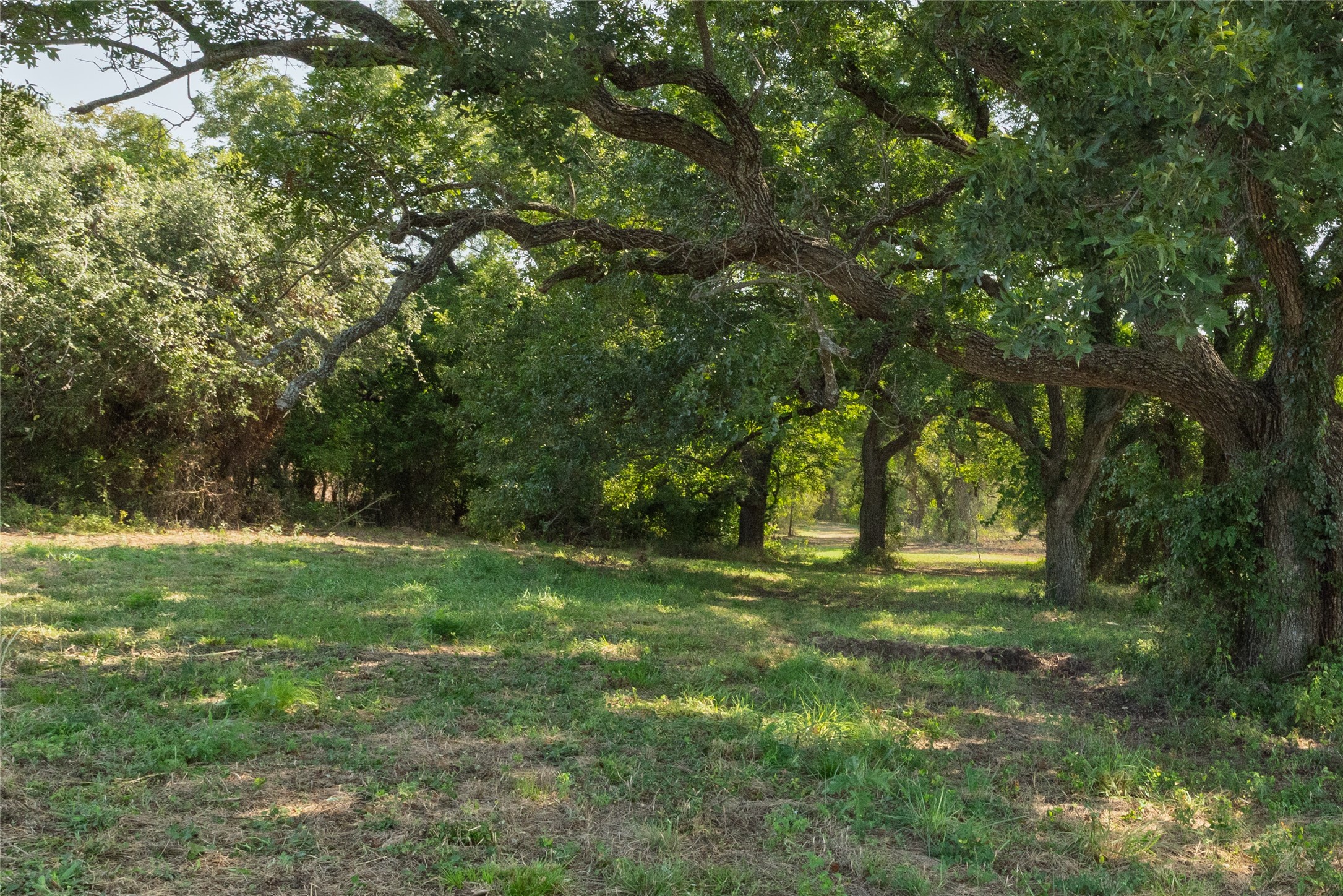 Tbd Overton Court Granbury TX 76048
