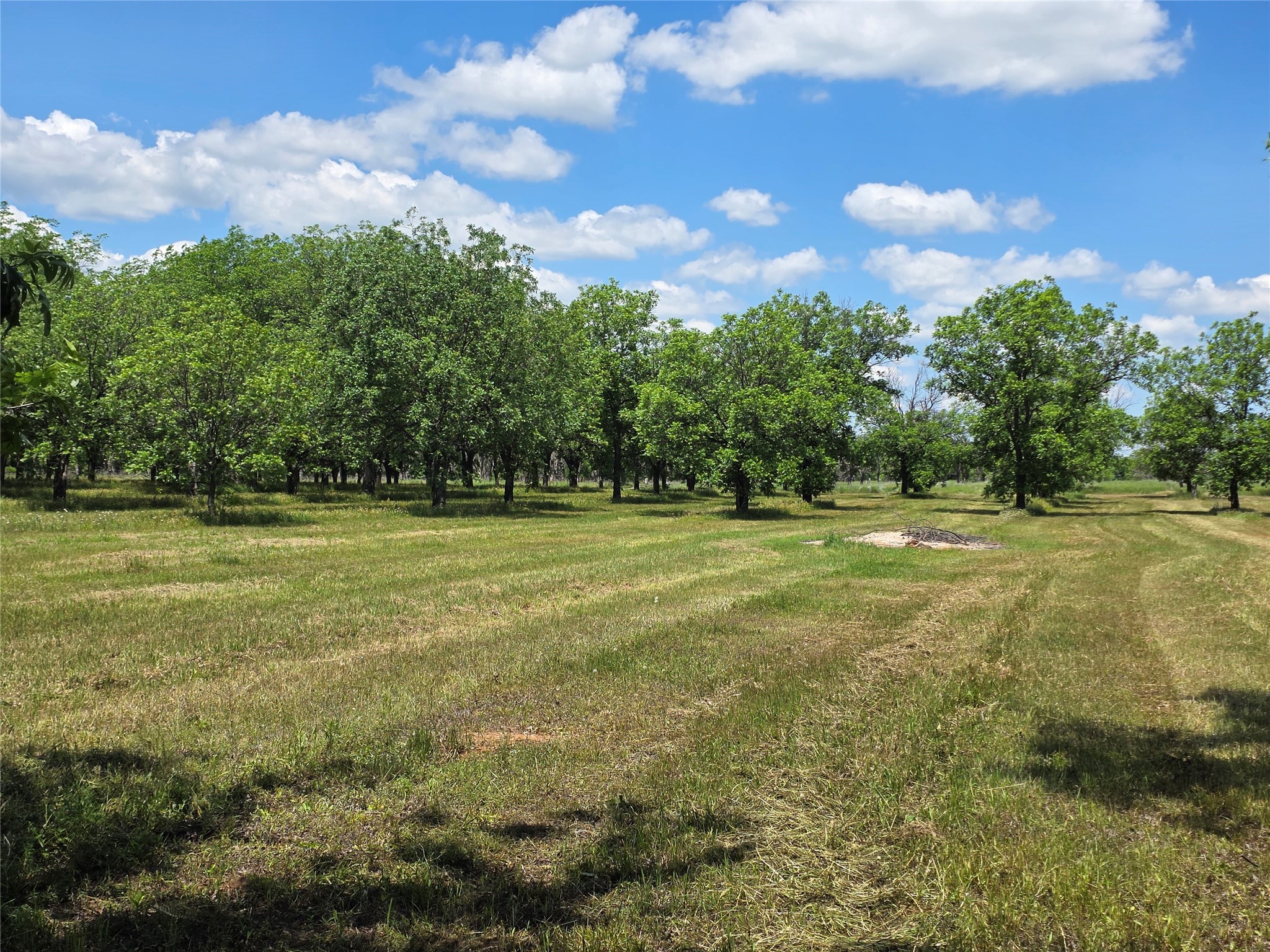 Tbd Cr 446 De Leon TX 76444
