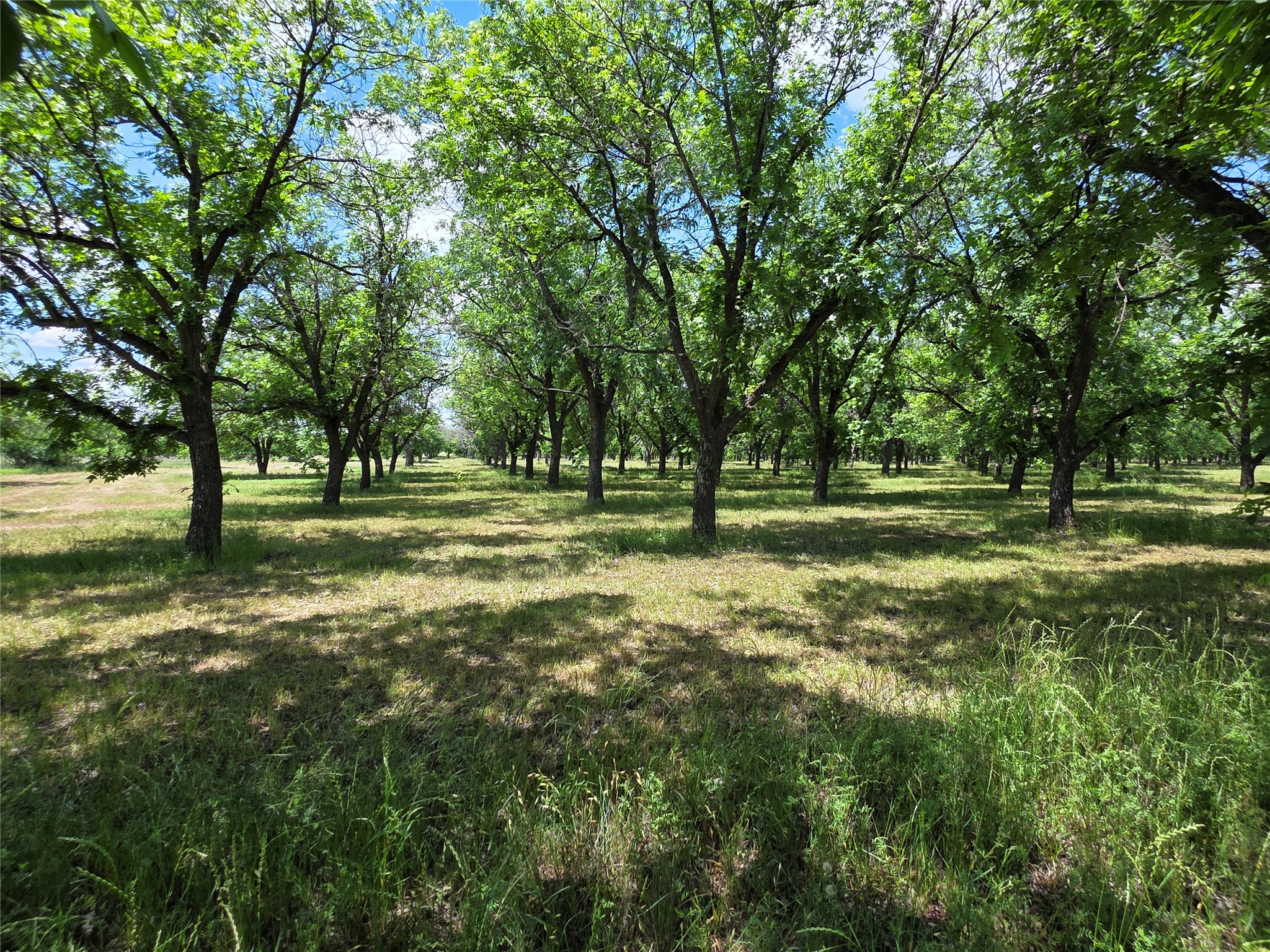 Tbd Cr 446 De Leon TX 76444