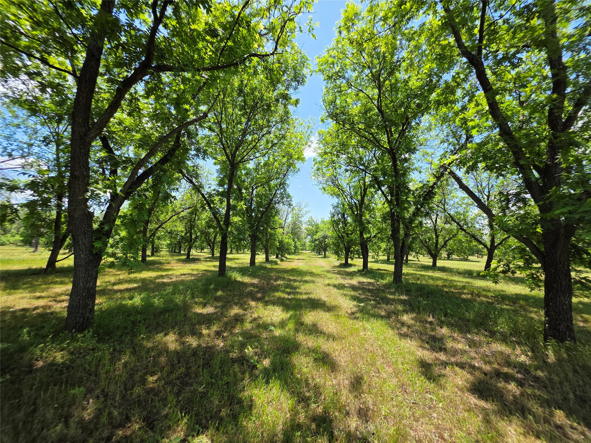 Tbd Cr 446 De Leon TX 76444