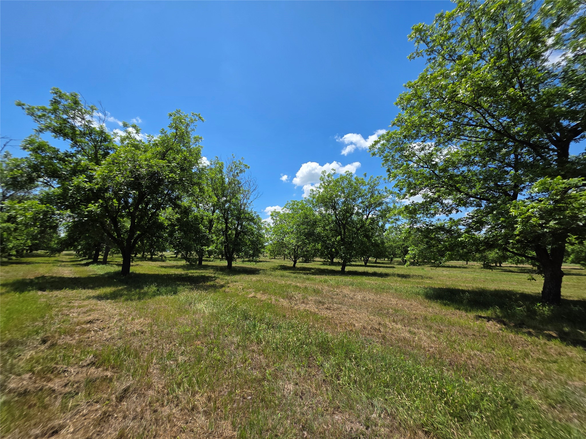 Tbd Cr 446 De Leon TX 76444