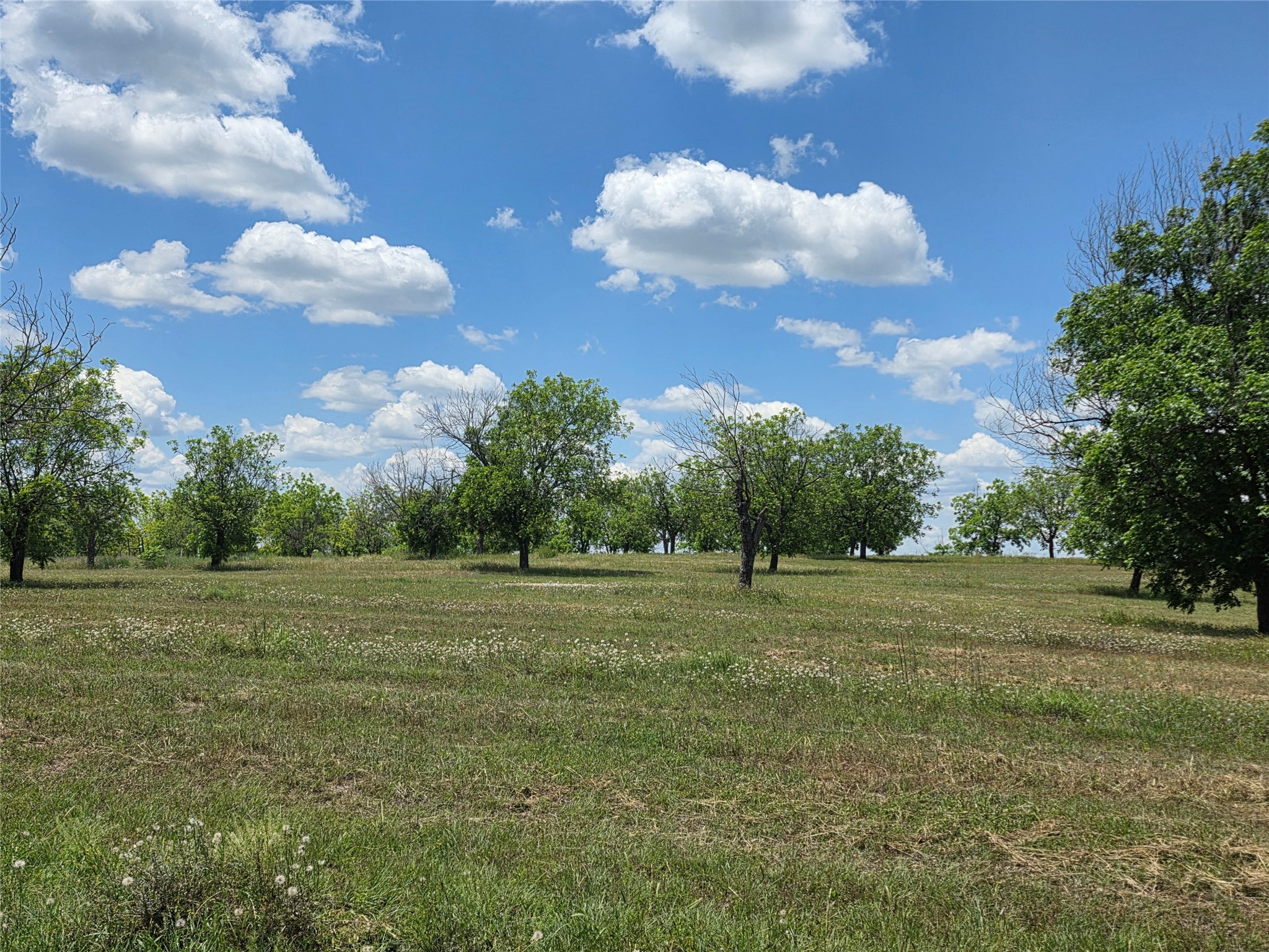 Tbd Cr 446 De Leon TX 76444