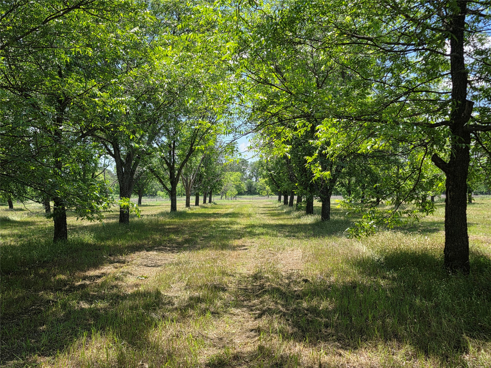 Tbd Cr 446 De Leon TX 76444