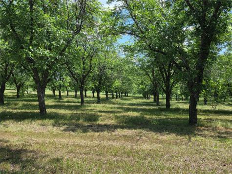 TBD Cr 446 De Leon TX 76444