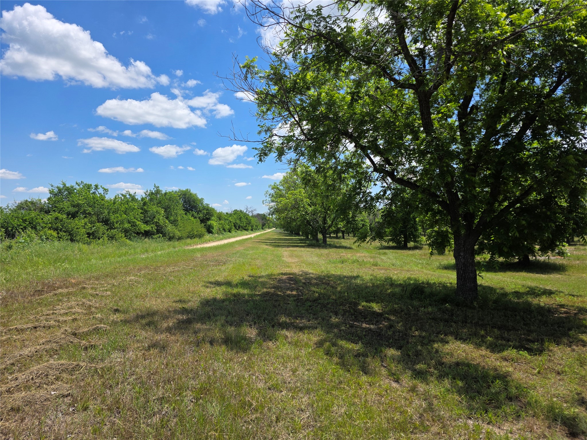 Tbd Cr 446 De Leon TX 76444