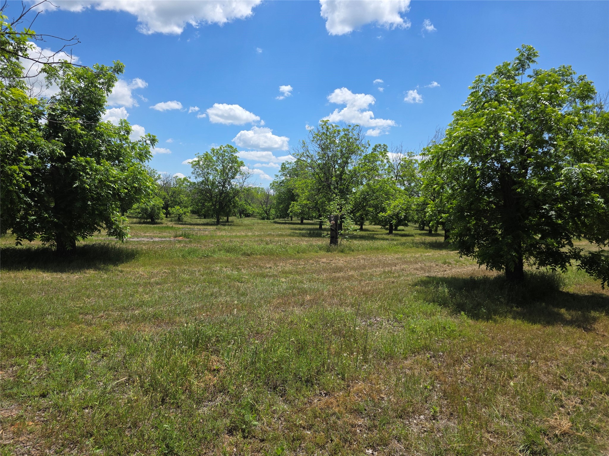 Tbd Cr 446 De Leon TX 76444