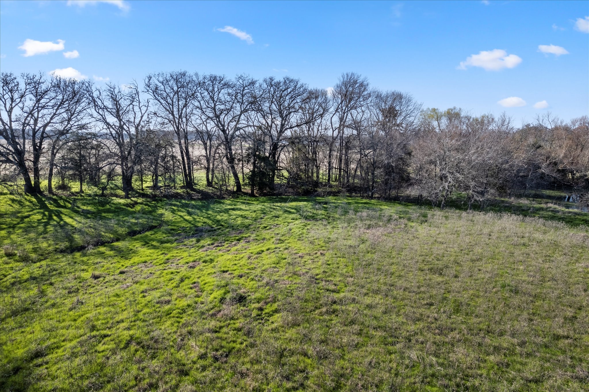 1550 County Road 1136 Cumby TX 75433