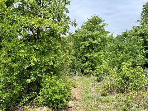 214.68 Acres E Truce Road Bowie TX 76431