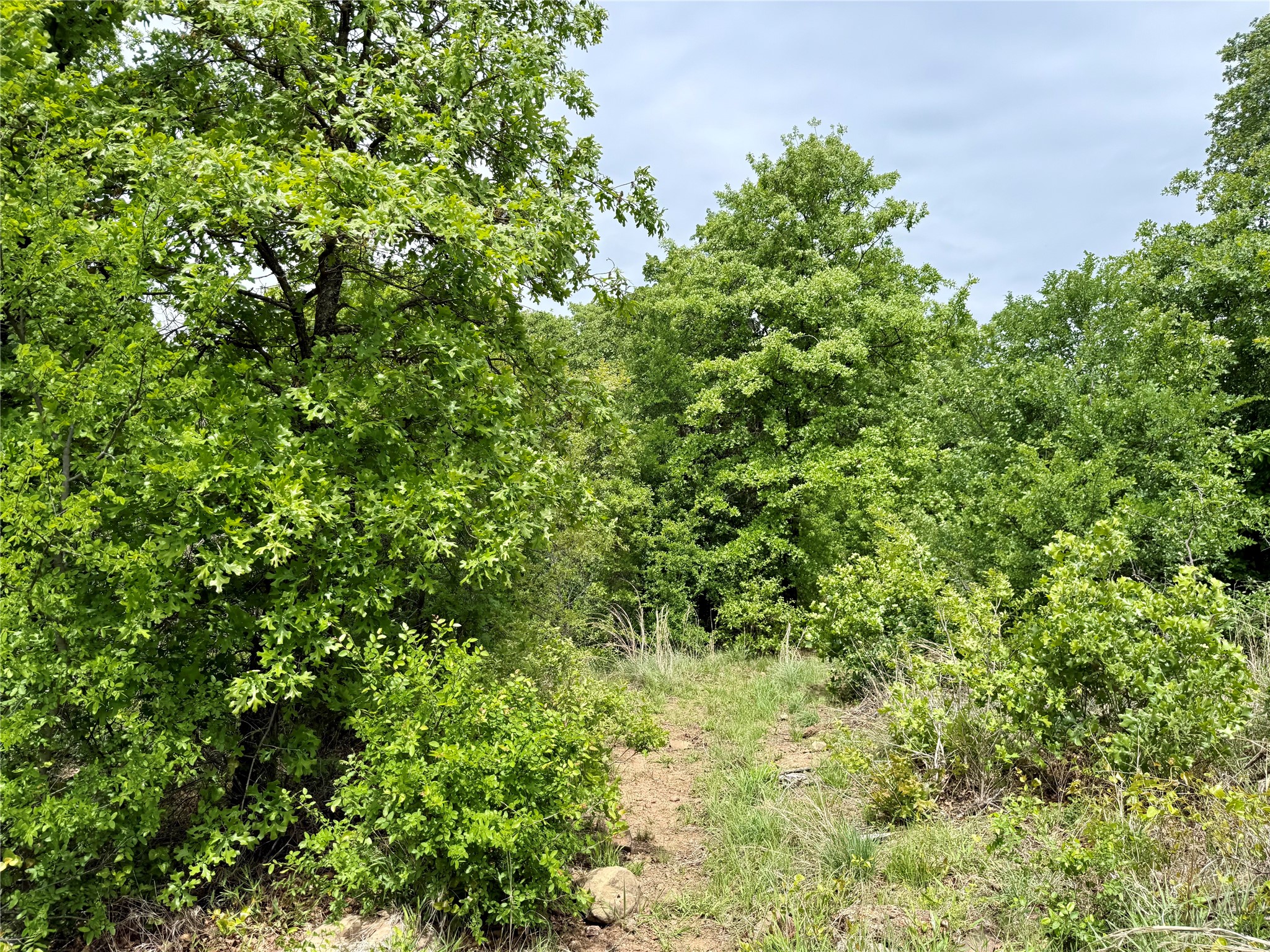 214.68 Acres E Truce Road Bowie TX 76431