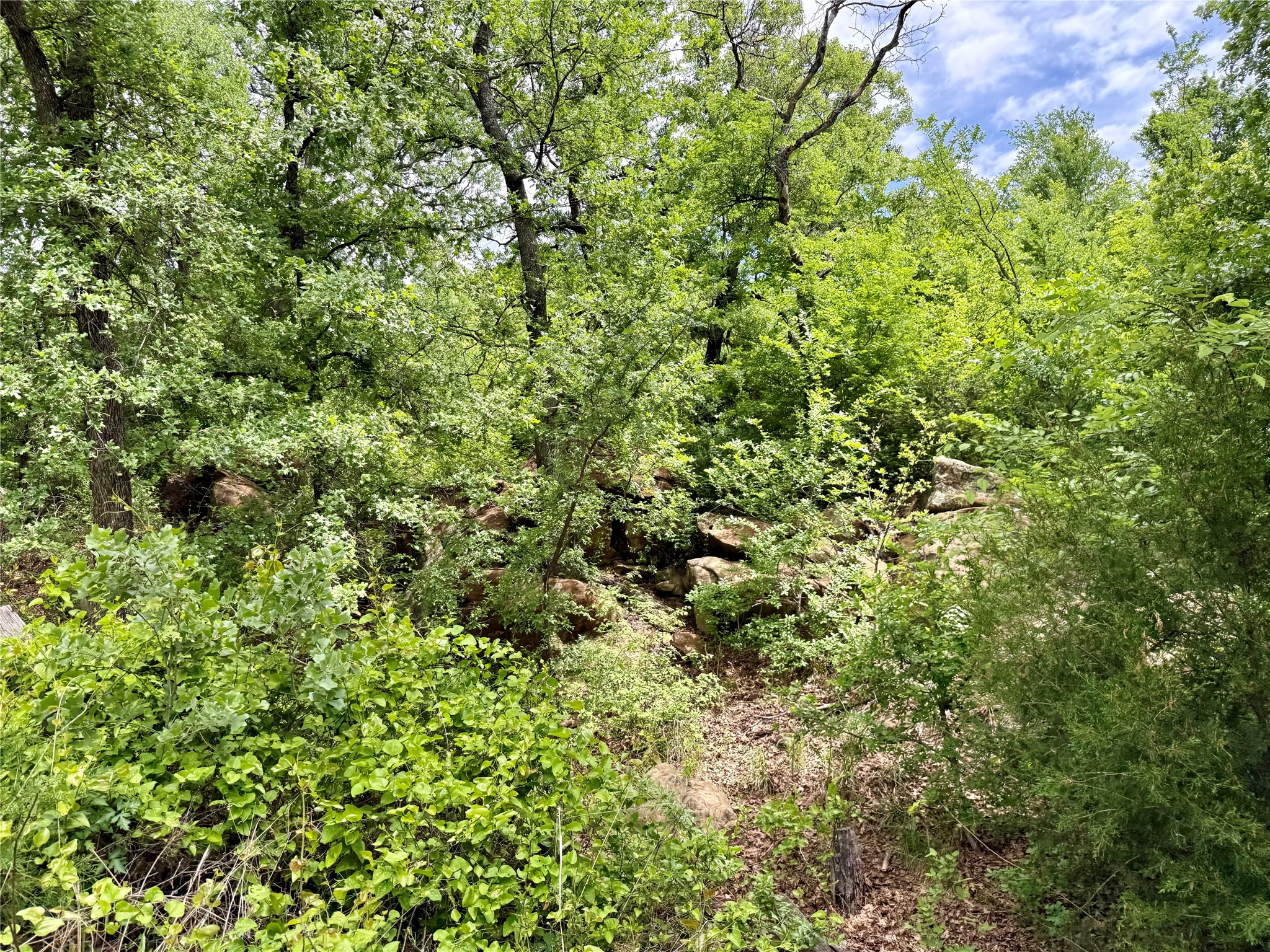 214.68 Acres E Truce Road Bowie TX 76431