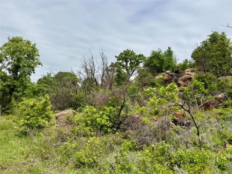 214.68 Acres E Truce Road Bowie TX 76431