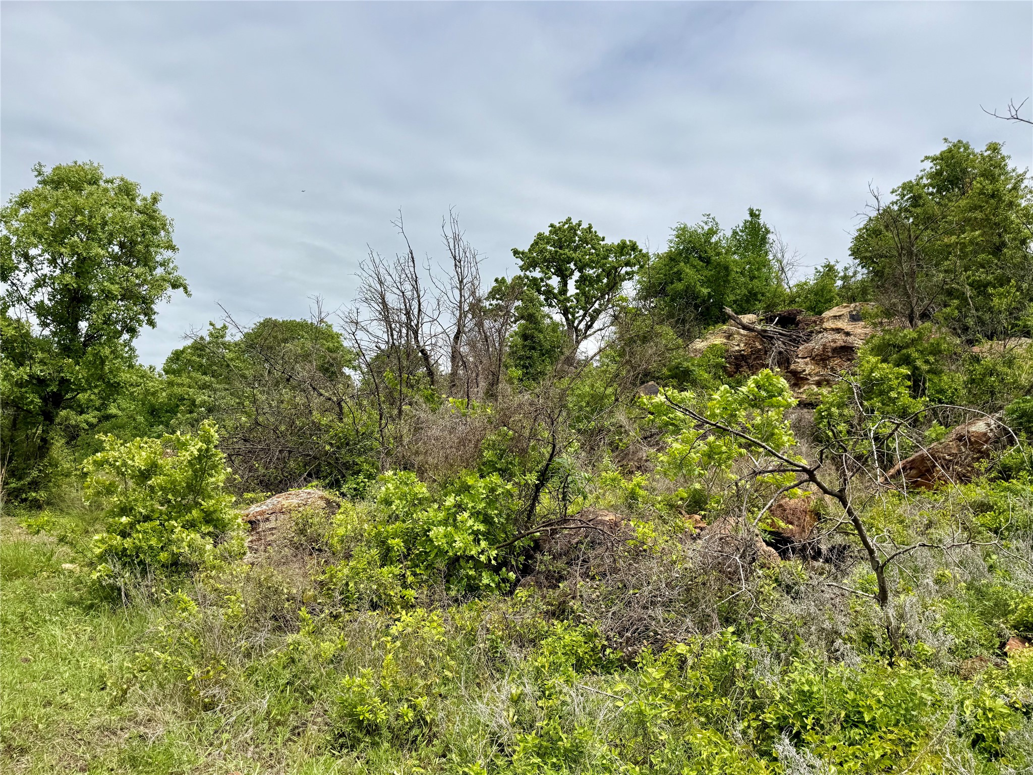 214.68 Acres E Truce Road Bowie TX 76431