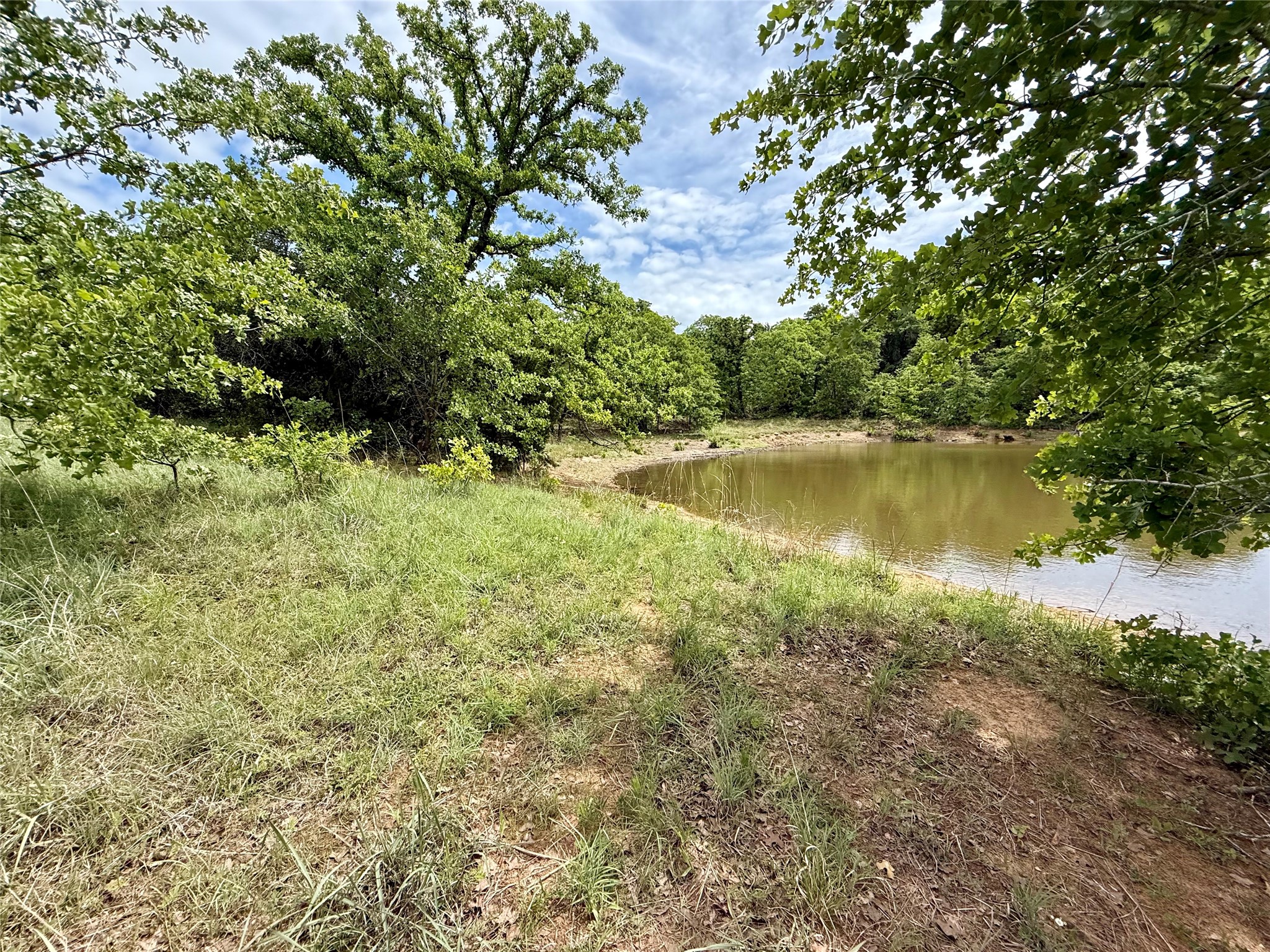 214.68 Acres E Truce Road Bowie TX 76431