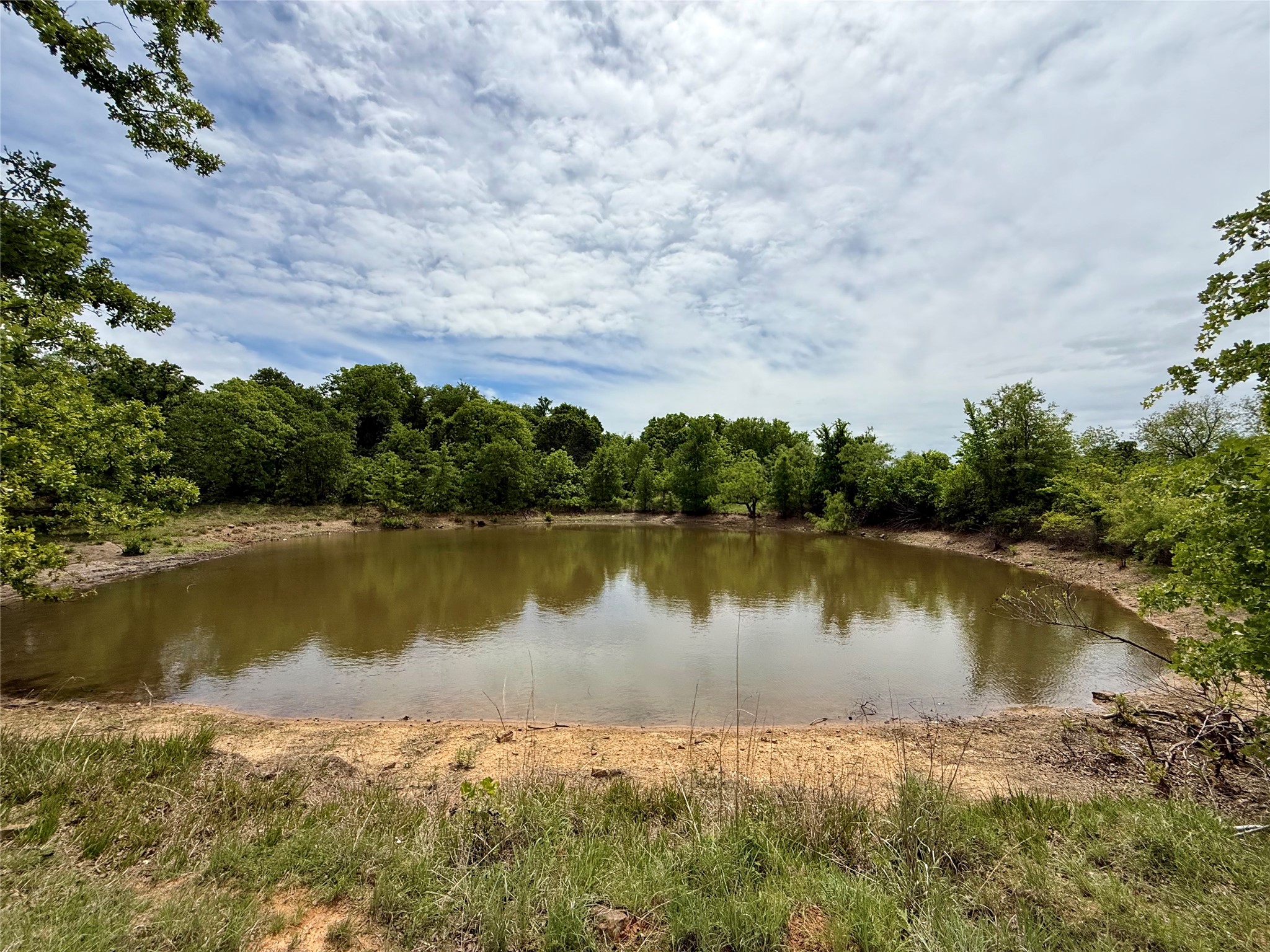 214.68 Acres E Truce Road Bowie TX 76431