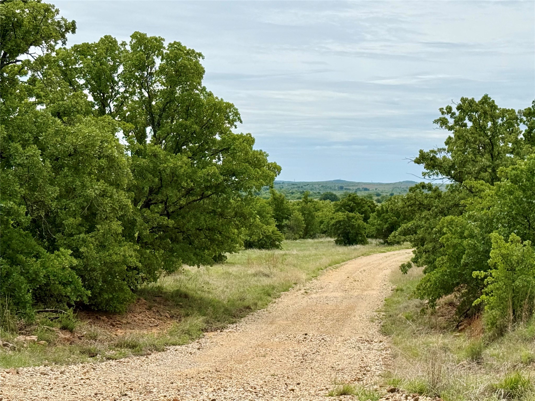 214.68 Acres E Truce Road Bowie TX 76431