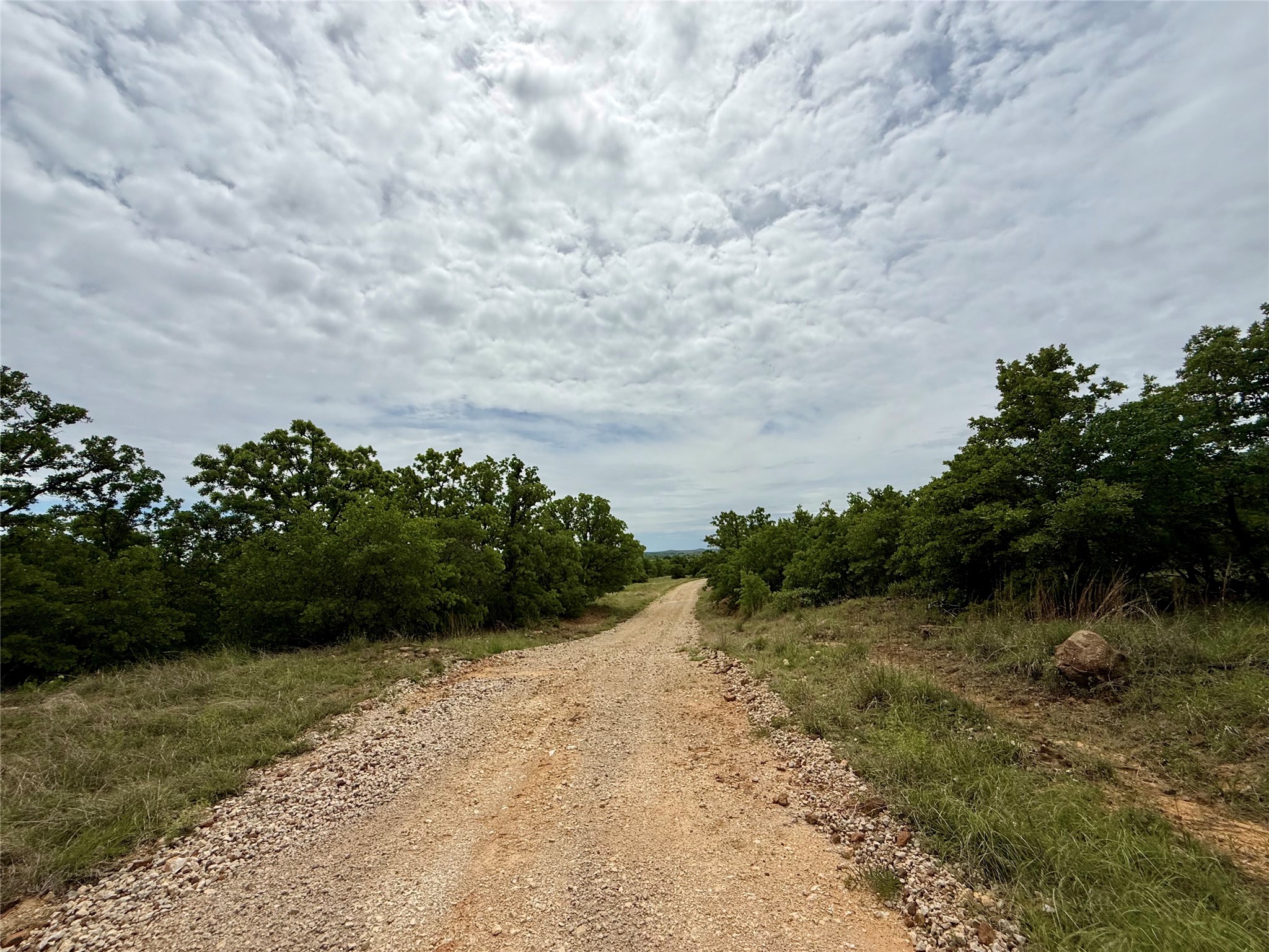 214.68 Acres E Truce Road Bowie TX 76431