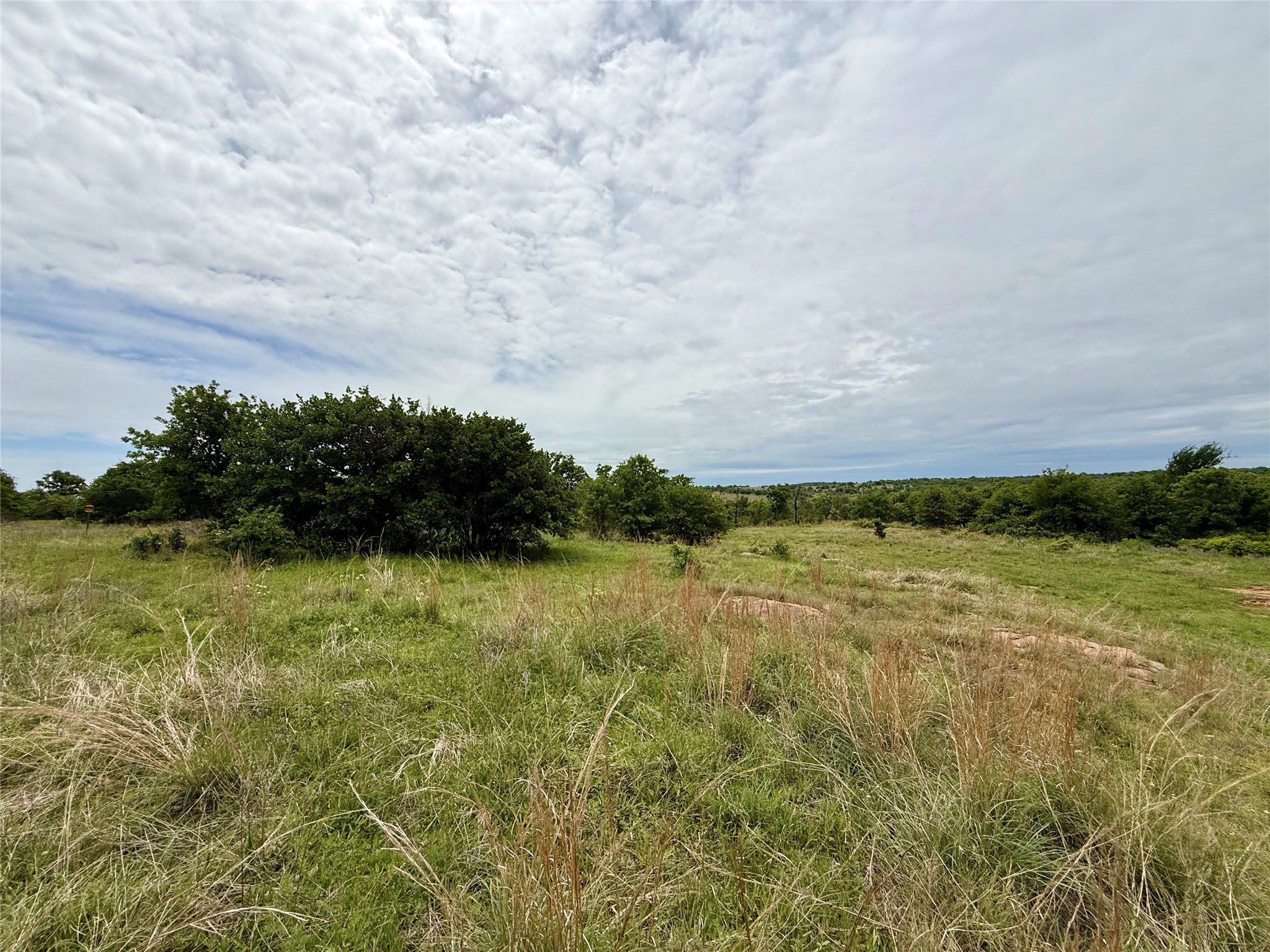 214.68 Acres E Truce Road Bowie TX 76431