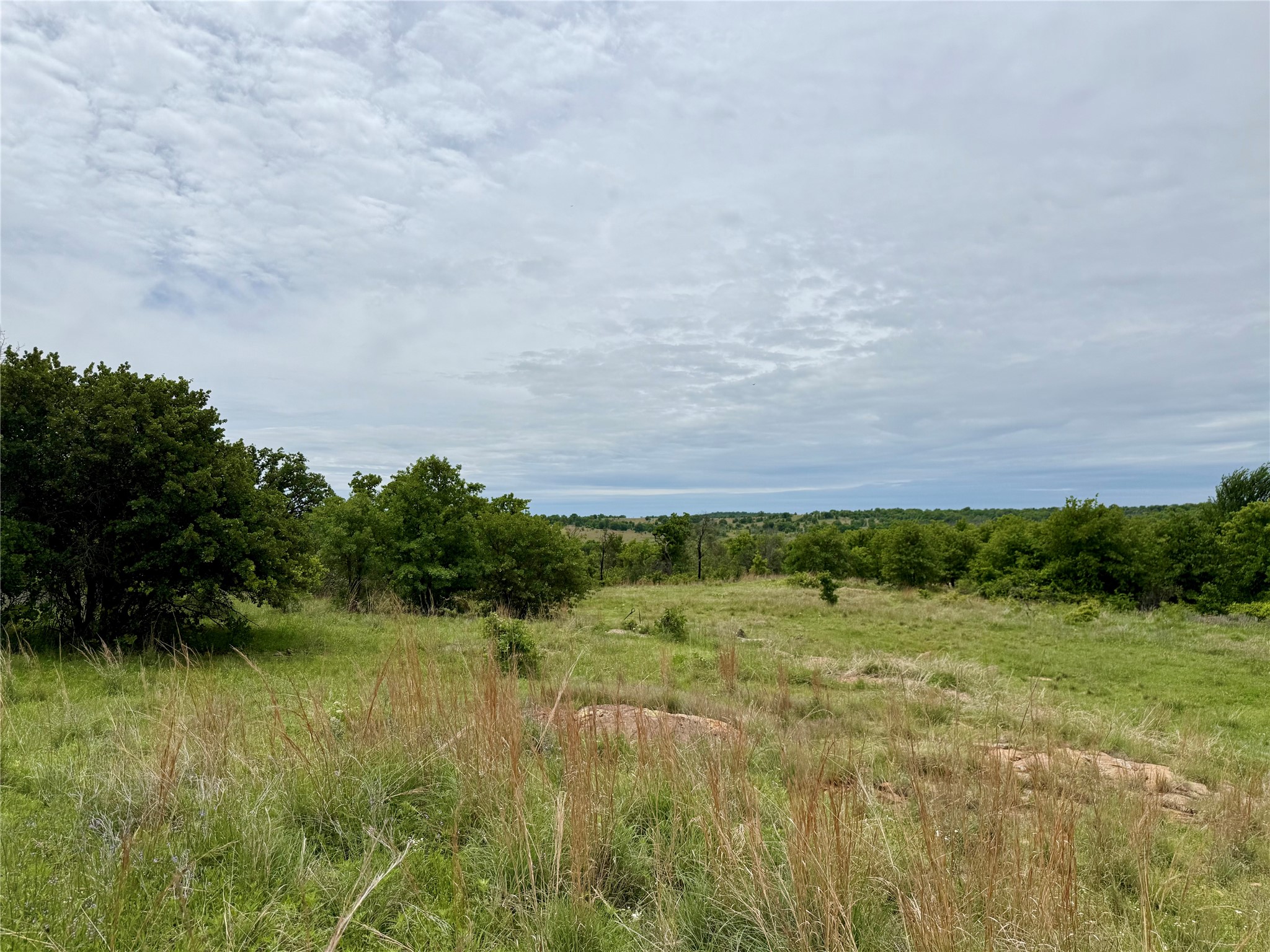 214.68 Acres E Truce Road Bowie TX 76431
