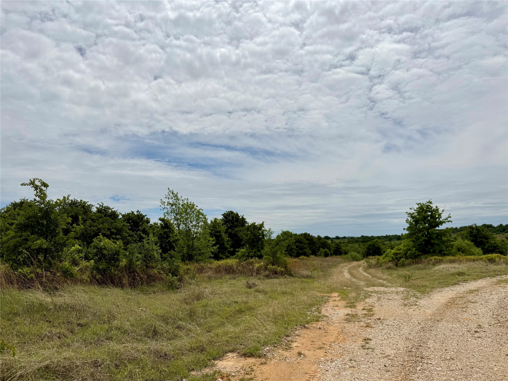 214.68 Acres E Truce Road Bowie TX 76431
