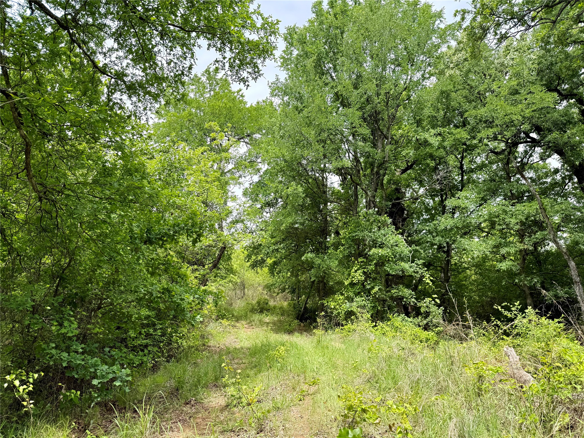 214.68 Acres E Truce Road Bowie TX 76431