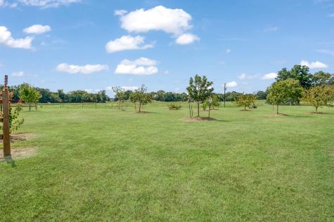1750 County Road 34430 Sumner TX 75486