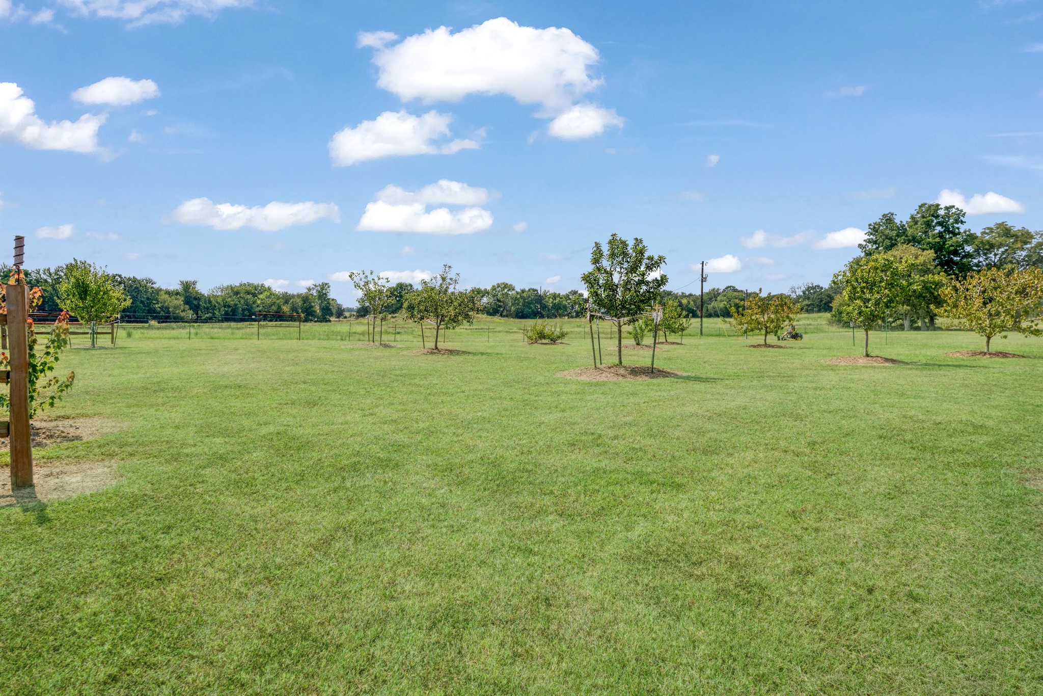 1750 County Road 34430 Sumner TX 75486