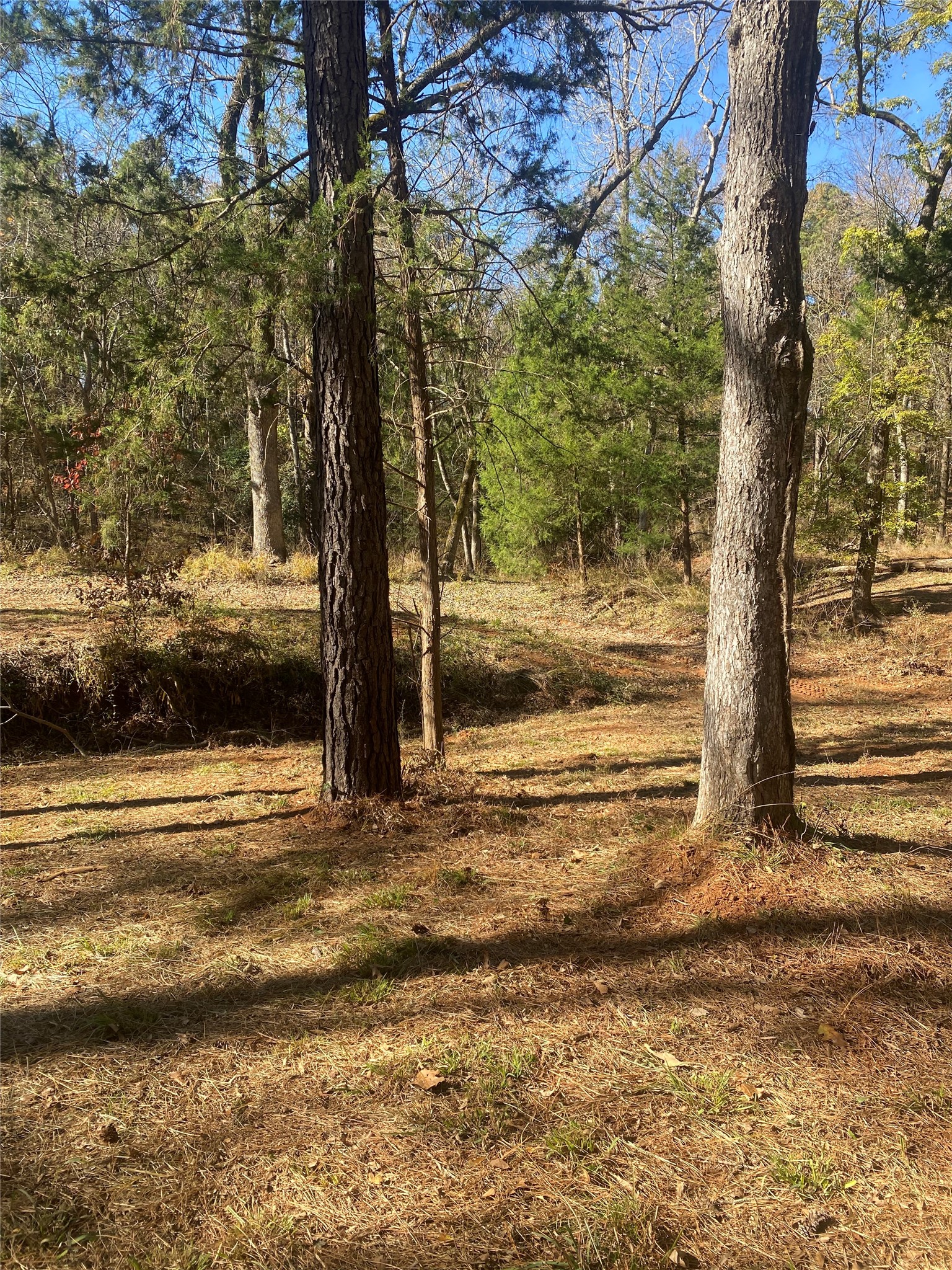 44.2 Acres State Highway 64 Ben Wheeler TX 75754