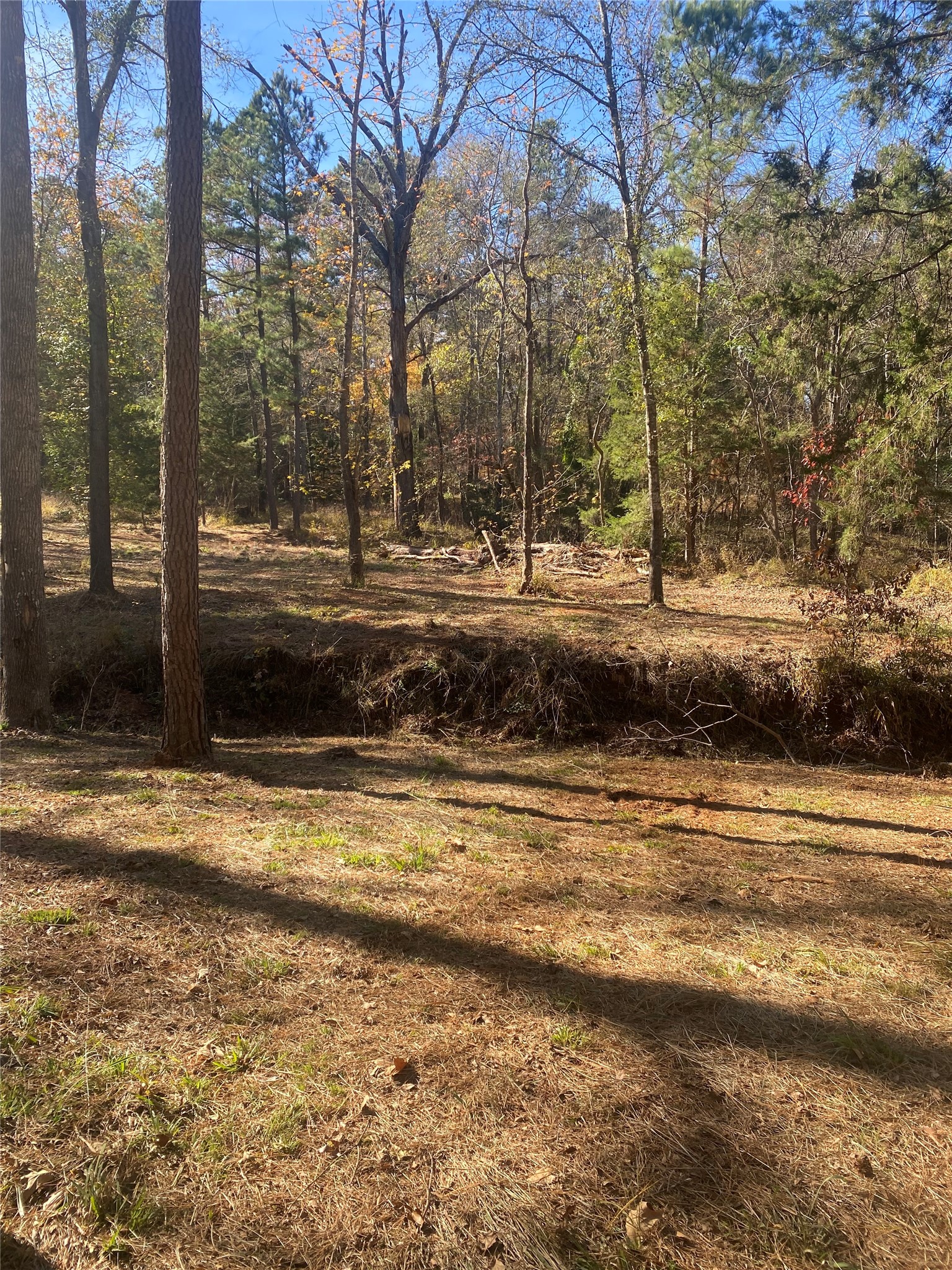 44.2 Acres State Highway 64 Ben Wheeler TX 75754
