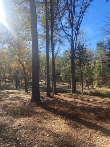 44.2 Acres State Highway 64 Ben Wheeler TX 75754