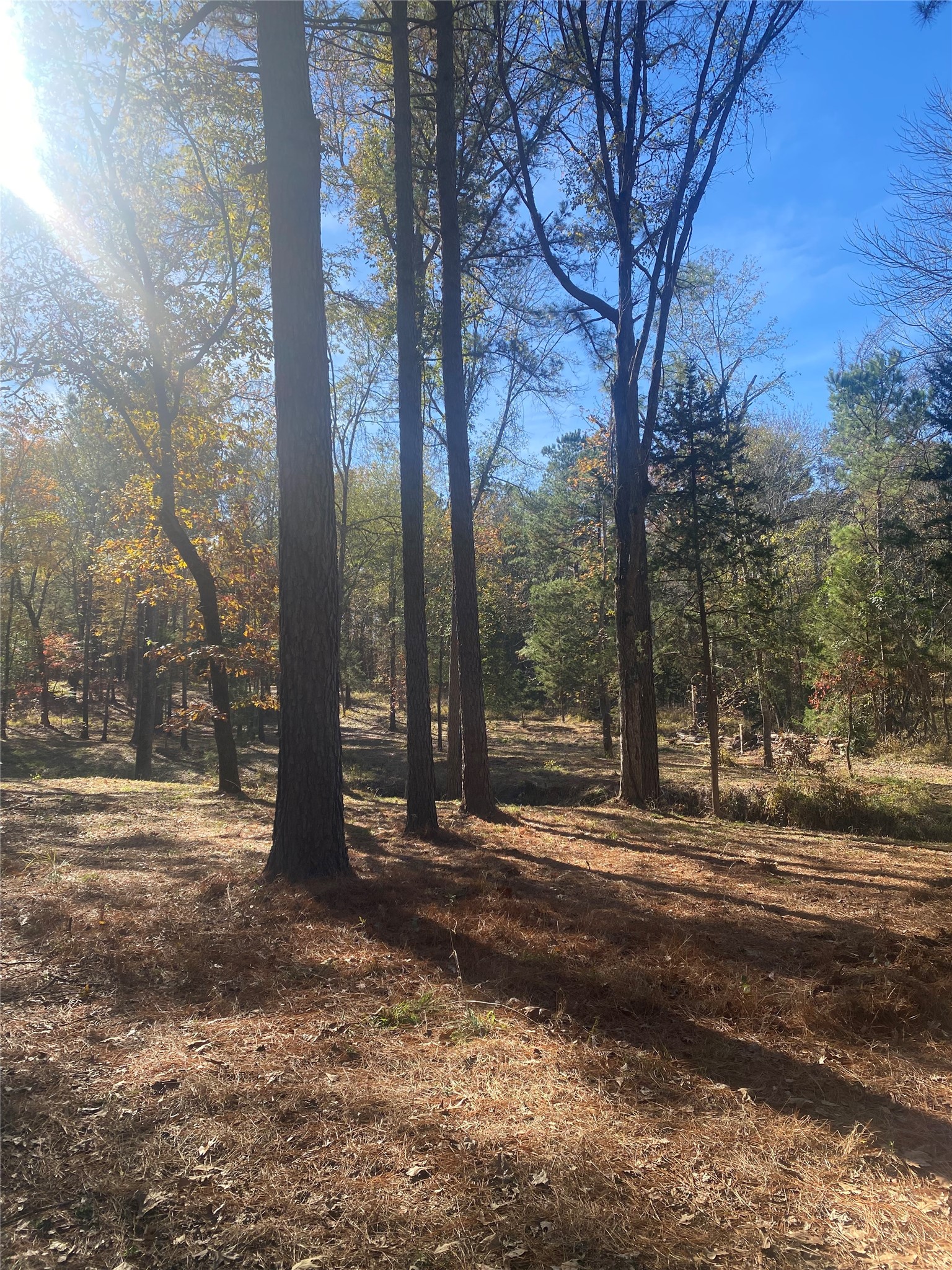 44.2 Acres State Highway 64 Ben Wheeler TX 75754