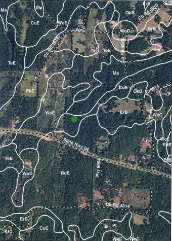 44.2 Acres State Highway 64 Ben Wheeler TX 75754