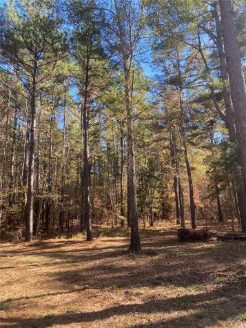 44.2 Acres State Highway 64 Ben Wheeler TX 75754