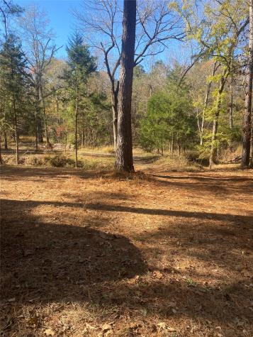 44.2 Acres State Highway 64 Ben Wheeler TX 75754