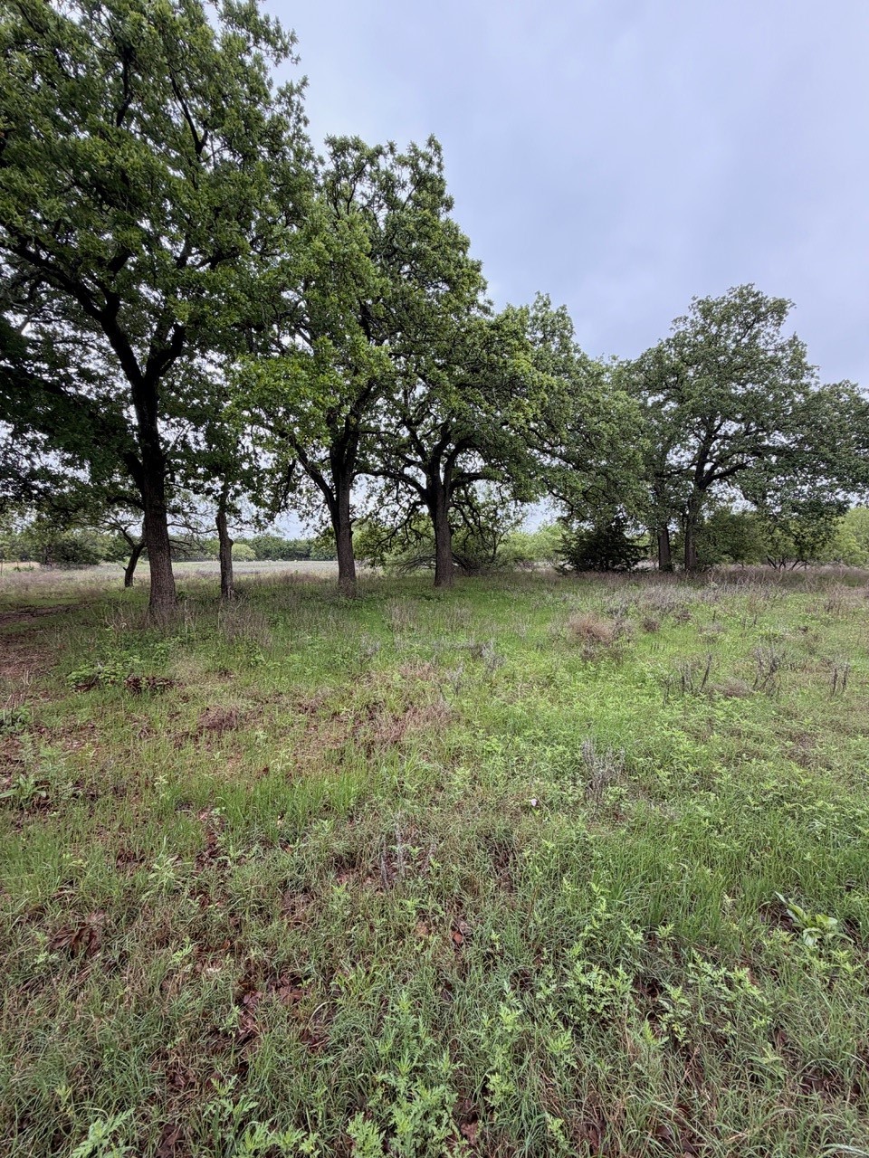 941 Wagoner Road Waco TX 76705