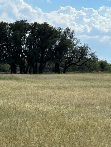 19075 Fm 604 S Clyde TX 79510