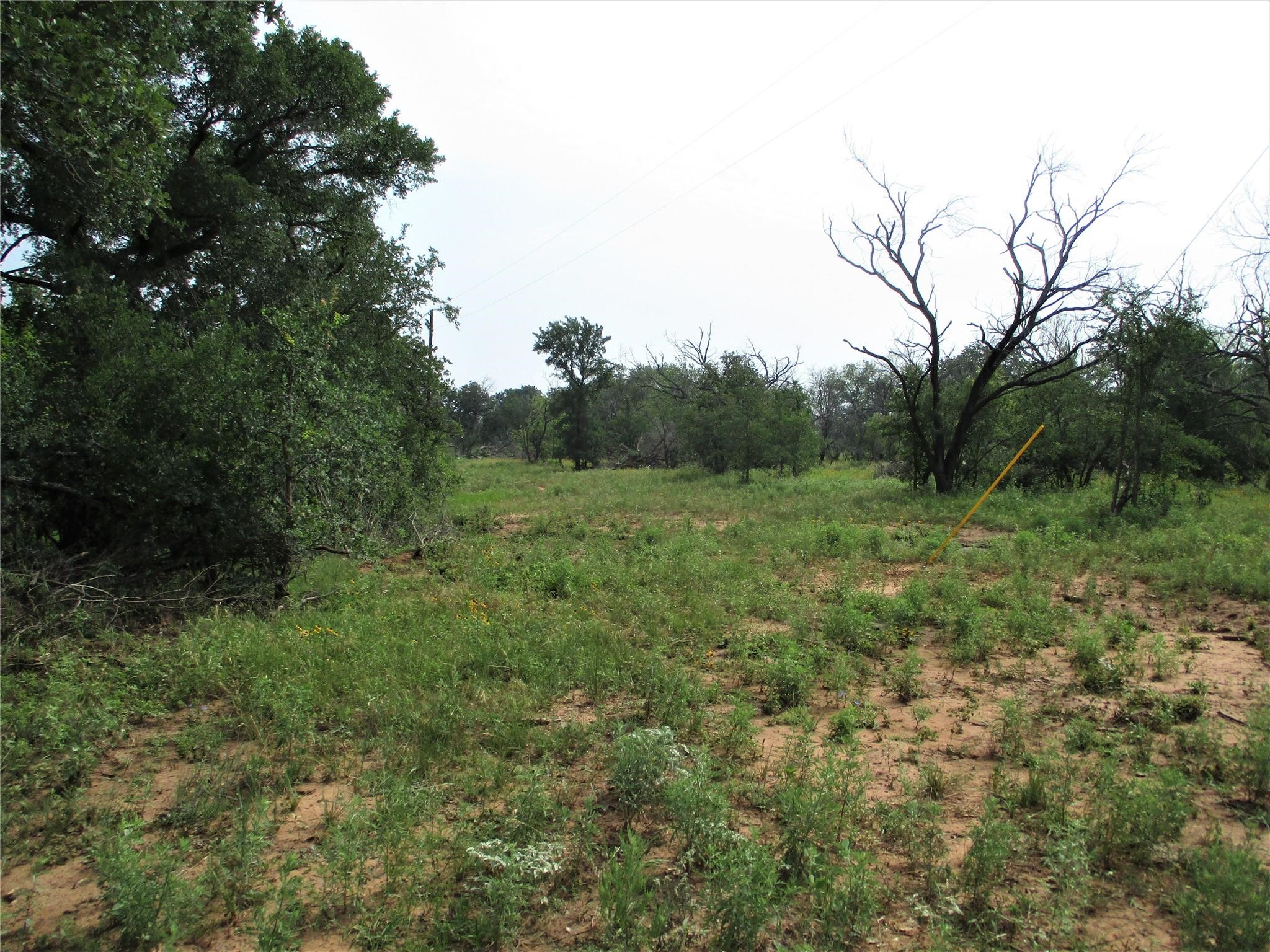 Trail 1 Hoffman Road Loving TX 76460
