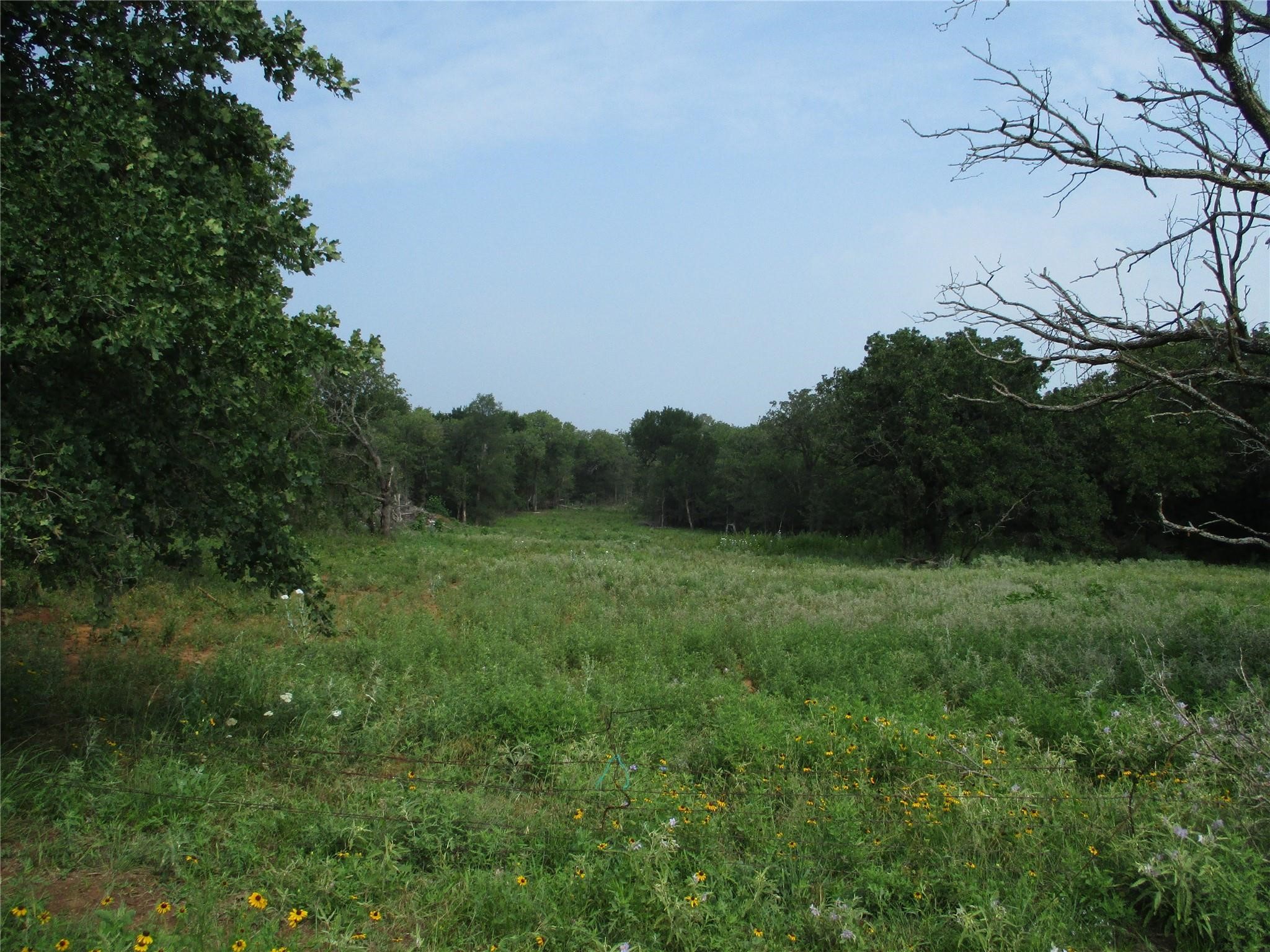 Trail 1 Hoffman Road Loving TX 76460