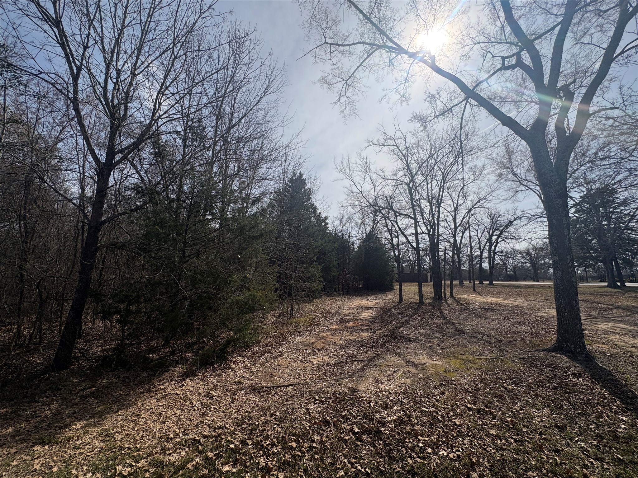000 Beachwood Drive Trinidad TX 75163