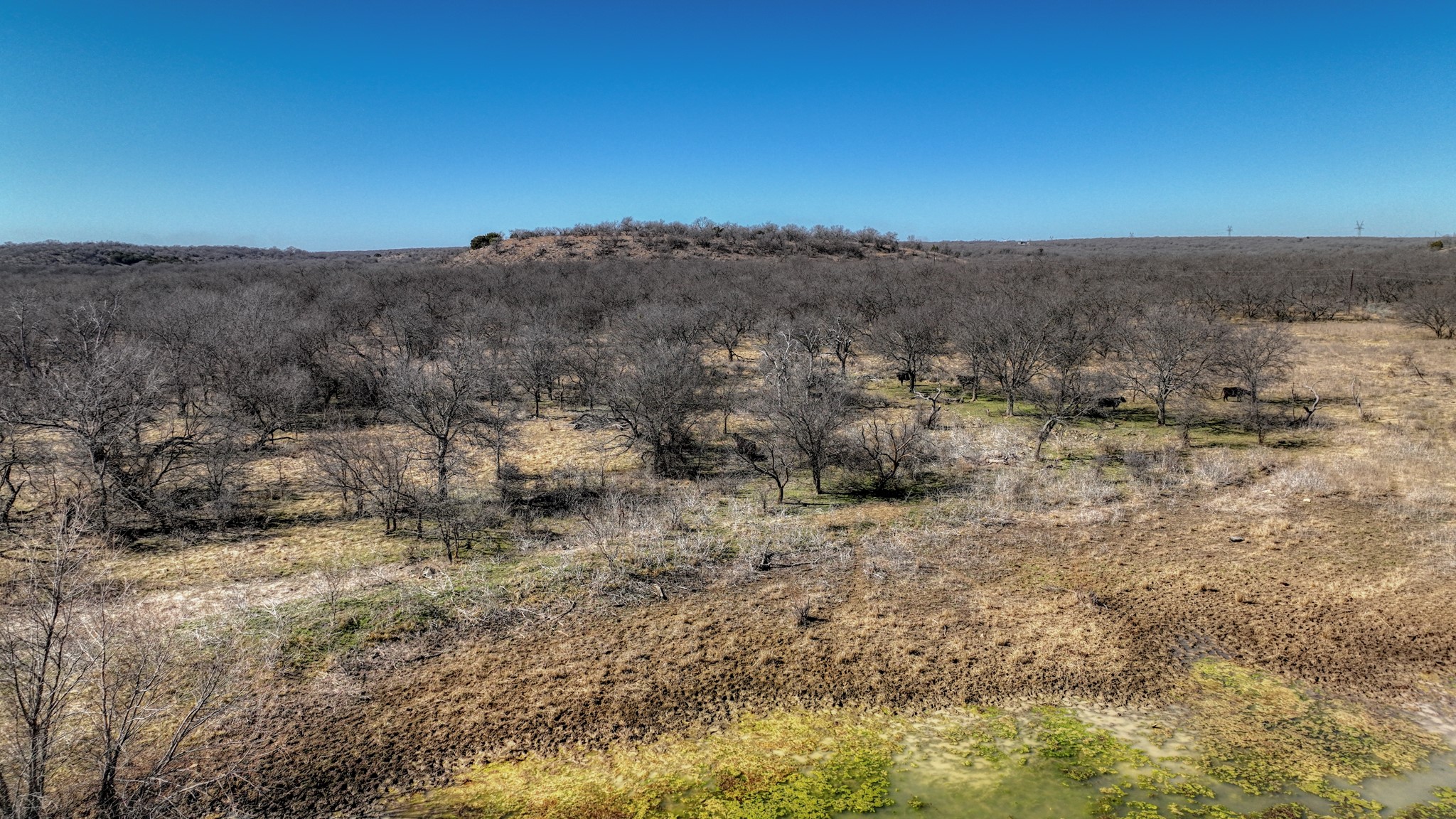 220 Ac Highway 281 S Highway Perrin TX 76486