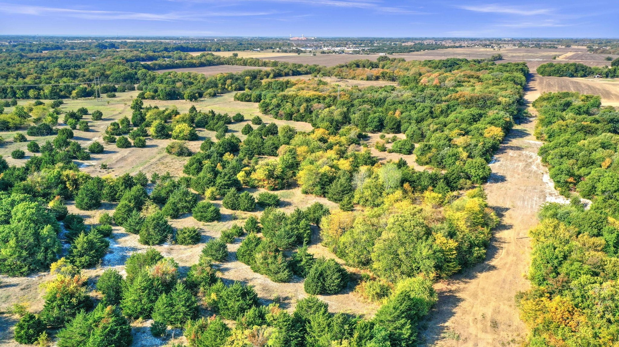 Tbd County Road 429 Anna TX 75409