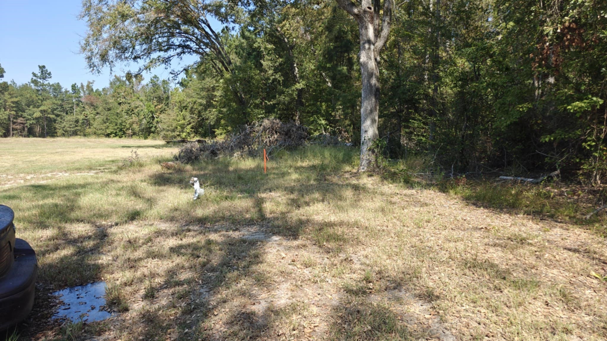 14915 County Road 26 Tyler TX 75707