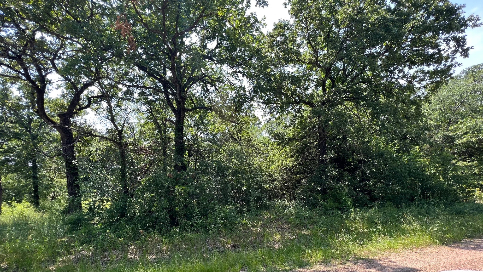 Tbd Natchez Trail Mabank TX 75156