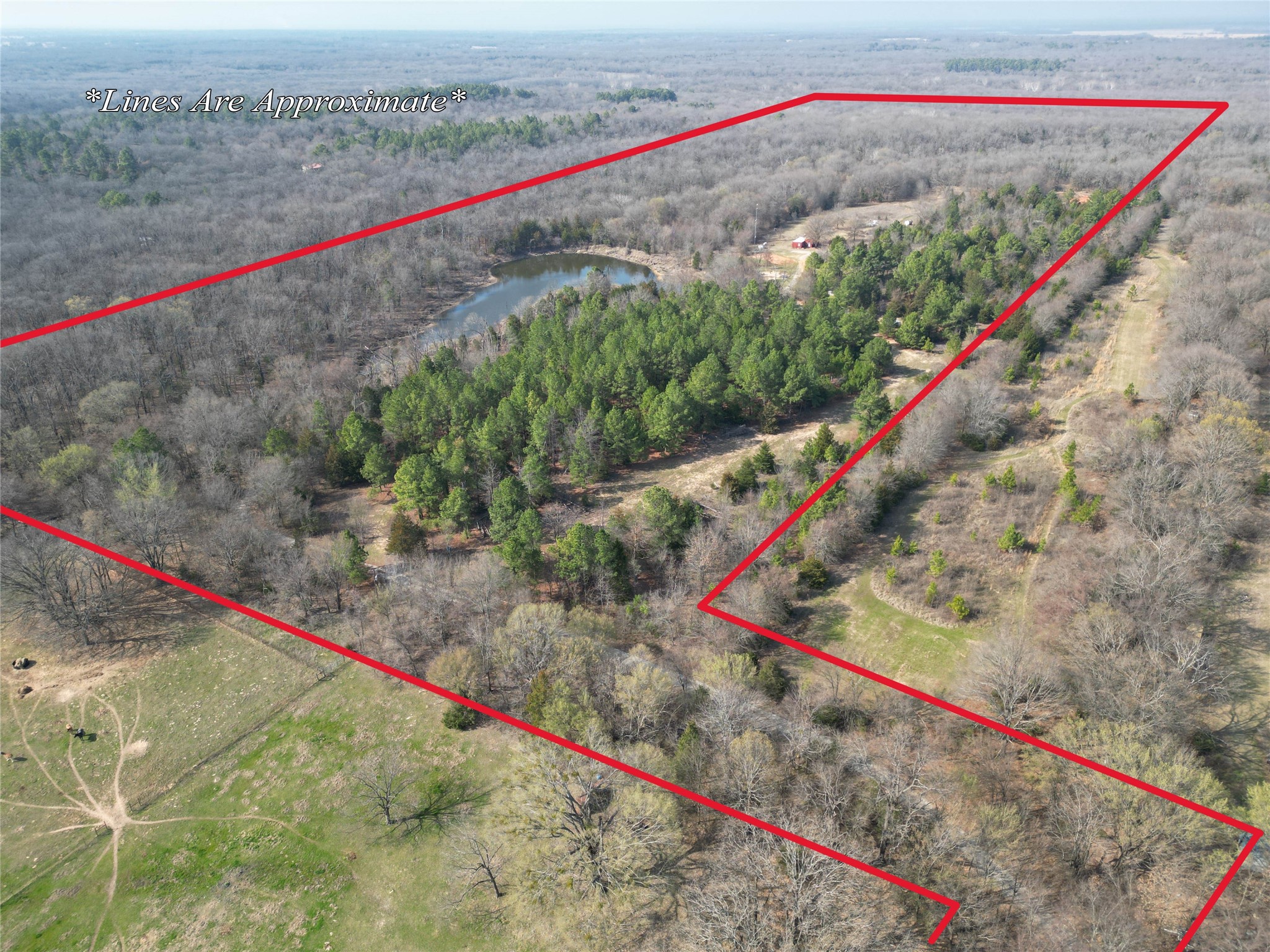 515 County Road 2317 Honey Grove TX 75446