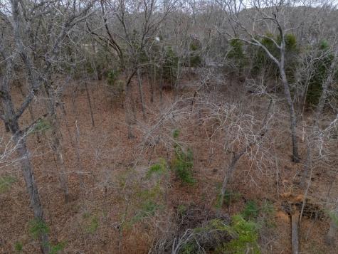 185 Sabine Bullard TX 75757