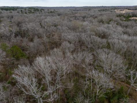 185 Sabine Bullard TX 75757
