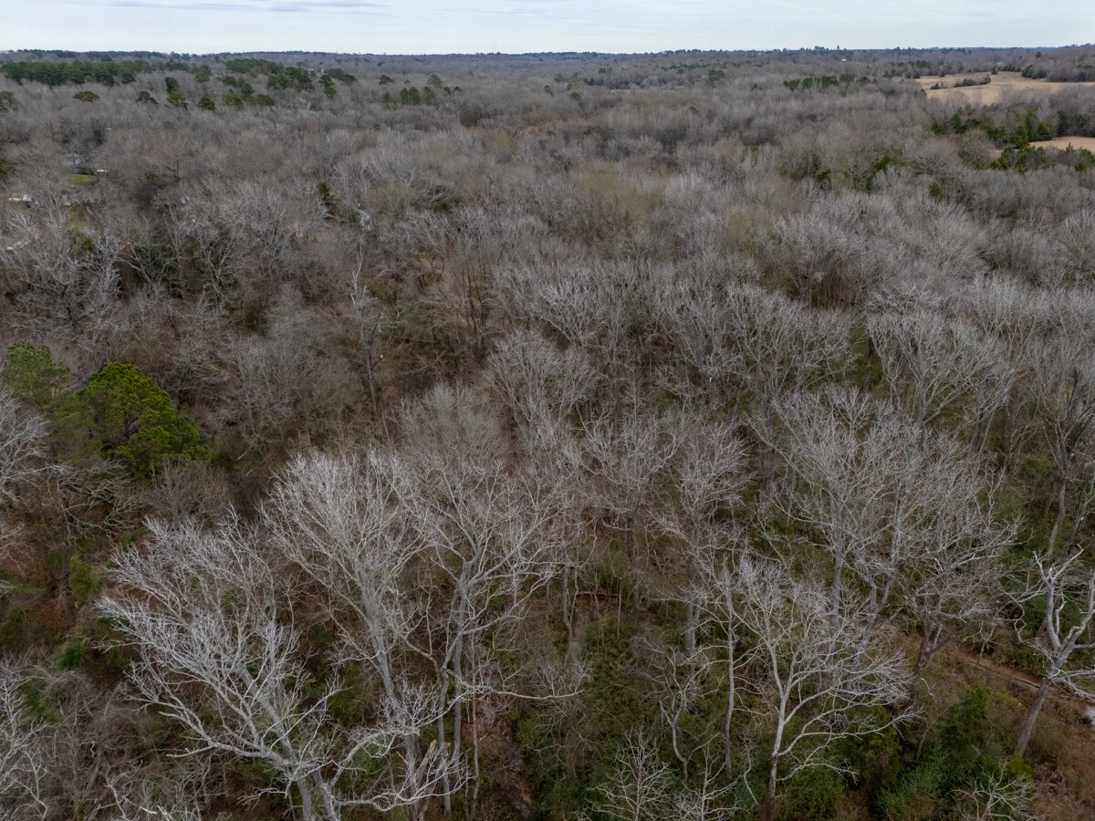 185 Sabine Bullard TX 75757