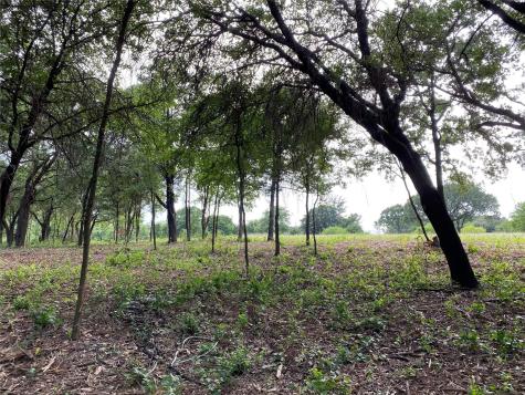 Tbd E Farm To Market 455 Pilot Point TX 76258
