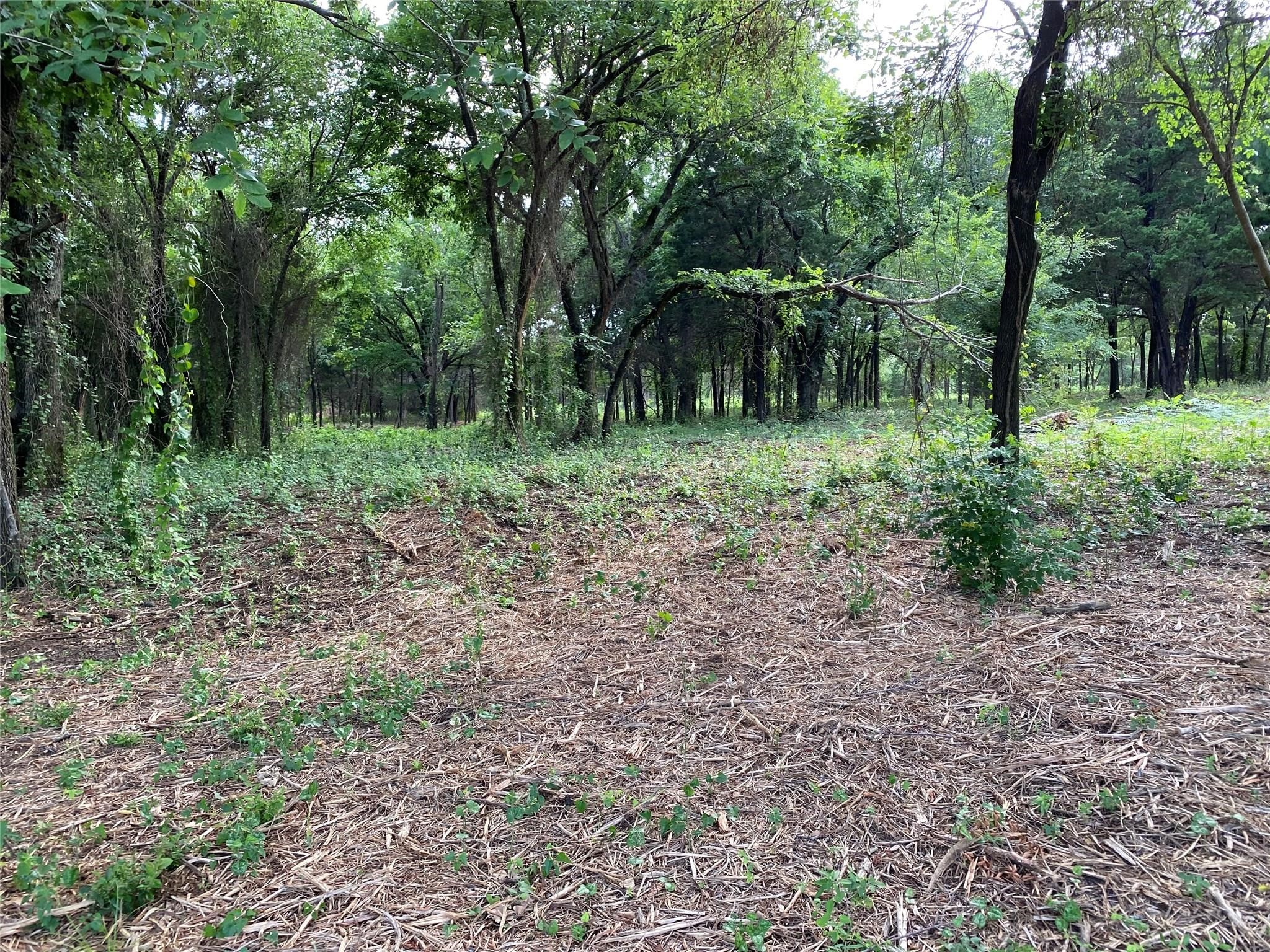 Tbd E Farm To Market 455 Pilot Point TX 76258