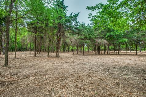 Tbd E Farm To Market 455 Pilot Point TX 76258